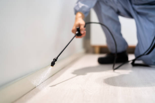 Licensed Termite Control service in Stockton, CA - Nex Pest Control