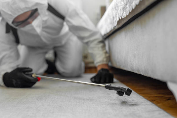 Professional Termite Control technician working in Stockton, CA
