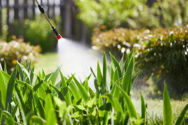24/7 Emergency Termite Control experts in Stockton, CA