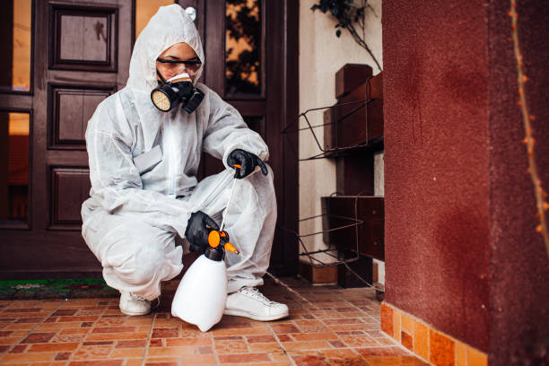 Reliable Termite Control contractor in Stockton, CA by Nex Pest Control
